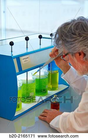 Stock Image - Flocculation tests. Precipitation of microalgae. Algae culture. Algae biofuel research. Organic Laboratory. Energy and Environment Division. Tecnalia Research and Innovation. Donostia. San Sebastian. Gipuzkoa. Basque Country. Spain.. Fotosearch