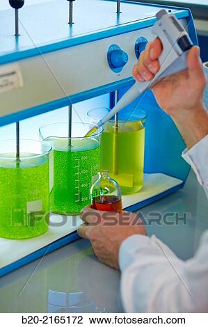 Stock Image - Flocculation tests. Precipitation of microalgae. Algae culture. Algae biofuel research. Organic Laboratory. Energy and Environment Division. Tecnalia Research and Innovation. Donostia. San Sebastian. Gipuzkoa. Basque Country. Spain.. Fotosearch