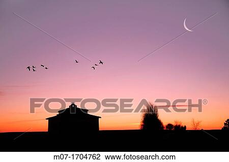 flock of birds flying over tierra de Campos, Medina de Rioseco, Valladolid, Spain View Large Photo Image Stock Image - flock of birds flying over tierra de Campos, Medina de Rioseco, Valladolid, Spain. Fotosearch