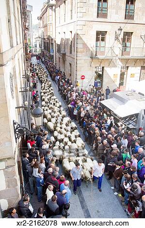 Flock of sheep through the streets of Ordizia village, in a day known as "Artzai Eguna", Gipuzkoa, Basque Country. View Large Photo Image Stock Photo - Flock of sheep through the streets of Ordizia village, in a day known as "Artzai Eguna", Gipuzkoa, Basque Country.. Fotosearch