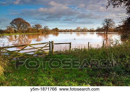 Flooded meadows by the River Exe in the Exe Valley after heavy rain in Devon View Large Photo Image Stock Photograph - Flooded meadows by the River Exe in the Exe Valley after heavy rain in Devon. Fotosearch