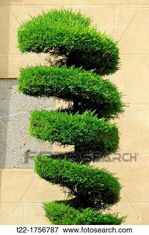 Stock Photo - Floral motif in the old town of Cordoba, Spain. Fotosearch