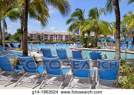 Florida, Hollywood, water, Crowne Plaza Hollywood Beach, hotel, swimming pool area, palm trees, lounge chairs,. View Large Photo Image Picture - Florida, Hollywood, water, Crowne Plaza Hollywood Beach, hotel, swimming pool area, palm trees, lounge chairs,.. Fotosearch