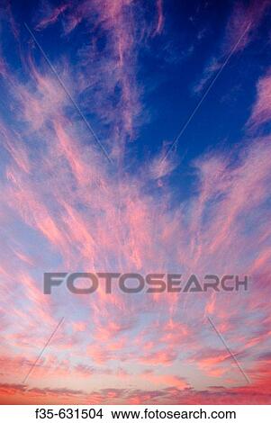 Florida Keys Sunset with Pink Clouds and Blue Sky View Large Photo Image Picture - Florida Keys Sunset with Pink Clouds and Blue Sky. Fotosearch