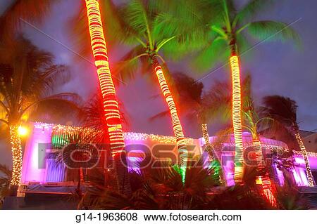 Florida, Miami Beach, Art Deco District, Ocean Drive, hotels, restaurant, Mangos Tropical Cafe, night, nightlife, palm trees, Christmas lighting, decorations,. View Large Photo Image Stock Photo - Florida, Miami Beach, Art Deco District, Ocean Drive, hotels, restaurant, Mangos Tropical Cafe, night, nightlife, palm trees, Christmas lighting, decorations,.. Fotosearch