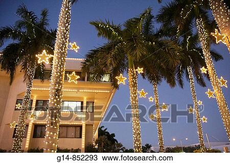 Florida, Miami Beach, City Hall, palm trees, dusk, Christmas lights, winter holiday, season, seasonal, decoration, star, frond, tropical, tradition, View Large Photo Image Stock Image - Florida, Miami Beach, City Hall, palm trees, dusk, Christmas lights, winter holiday, season, seasonal, decoration, star, frond, tropical, tradition,. Fotosearch