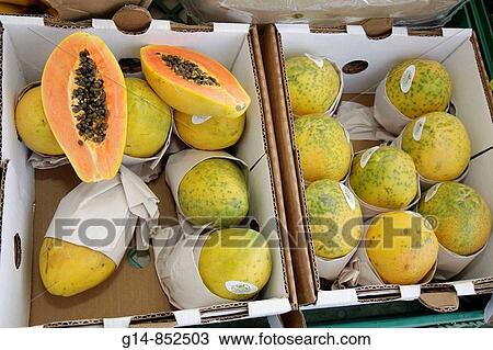 Stock Image - Florida, Miami, Legion Park, Upper Eastside Green Market, farmer? s, farmers market, fruit, vendor, boxes, papaya, Carica, agriculture, seeds, labels, import, Panama, tropical, nutrition, health, for sale,. Fotosearch