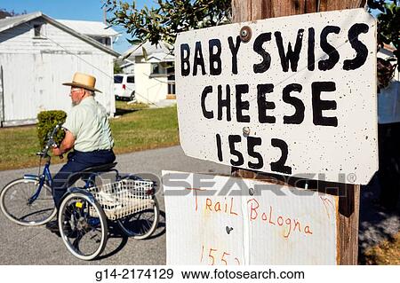Florida, Sarasota, Pinecraft, Amish, Mennonite, community, winter retreat, typical conservative traditional clothing, man, hat, bicycle, tricycle, sign, baby swiss cheese, trail bologna, sale,. View Large Photo Image Stock Photo - Florida, Sarasota, Pinecraft, Amish, Mennonite, community, winter retreat, typical conservative traditional clothing, man, hat, bicycle, tricycle, sign, baby swiss cheese, trail bologna, sale,.. Fotosearch