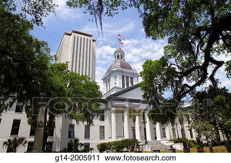 Florida, Tallahassee, Florida State Capitol, Historic Old Capitol, Classical Revival, museum, building, live oak trees, Spanish moss, exterior, front, entrance,. View Large Photo Image Stock Image - Florida, Tallahassee, Florida State Capitol, Historic Old Capitol, Classical Revival, museum, building, live oak trees, Spanish moss, exterior, front, entrance,.. Fotosearch
