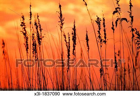 Florida United States View Large Photo Image Stock Image - Florida United States. Fotosearch