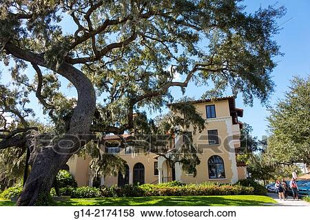 Florida, Winter Park, Rollins College, campus, school, Rollins Hall, live oak tree, student,. View Large Photo Image Stock Photo - Florida, Winter Park, Rollins College, campus, school, Rollins Hall, live oak tree, student,.. Fotosearch