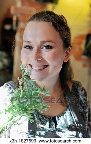 Florist holding some absinthe leaves, Le Jardin de Juliette, Pontarlier, Doubs departement, Franche-Comte region, France Europe View Large Photo Image Stock Photo - Florist holding some absinthe leaves, Le Jardin de Juliette, Pontarlier, Doubs departement, Franche-Comte region, France Europe. Fotosearch