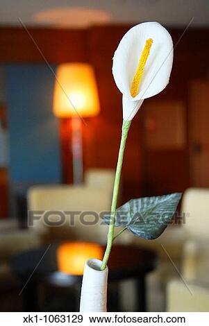 Flower decoration View Large Photo Image Stock Photo - Flower decoration. Fotosearch