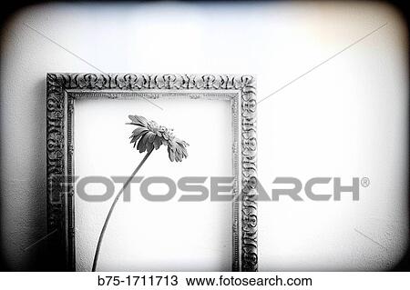 flower framed with antique frame, View Large Photo Image Stock Image - flower framed with antique frame,. Fotosearch