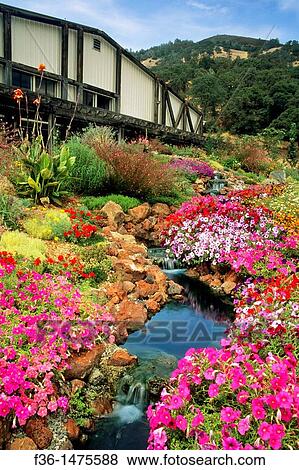 Flower gardens at Tulip Hill Winery, Nice, along Clear Lake, Lake County, California View Large Photo Image Stock Photo - Flower gardens at Tulip Hill Winery, Nice, along Clear Lake, Lake County, California. Fotosearch