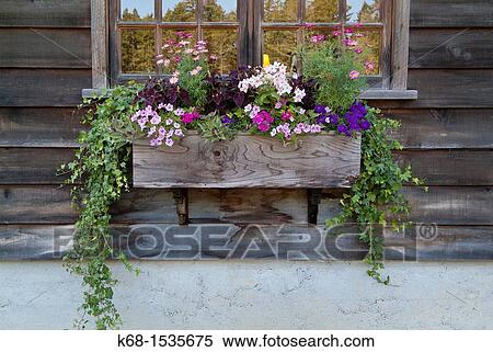 Flower planter on Saltspring Island, British Columbia, Canada View Large Photo Image Stock Photography - Flower planter on Saltspring Island, British Columbia, Canada. Fotosearch