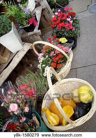 Stock Photo - Flower shop. Fotosearch
