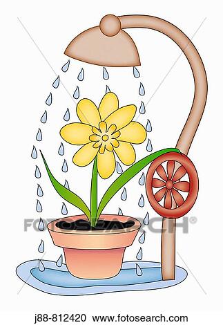 Stock Image - Flower taking a shower. Fotosearch