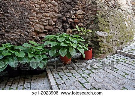 flowerpots, cobblestoned street, Baga, Catalonia, Spain View Large Photo Image Stock Photograph - flowerpots, cobblestoned street, Baga, Catalonia, Spain. Fotosearch