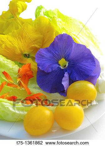 Flowers and tomato salad View Large Photo Image Stock Image - Flowers and tomato salad. Fotosearch