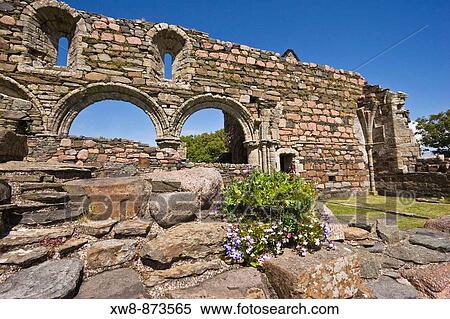 Stock Photography - Flowers at the Iona Nunnery, Isle of Iona, Scotland. Fotosearch