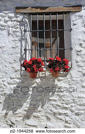 Stock Photo - Flowers in the window. Mecina-Fondales, Las Alpujarras. Granada, Spain. Fotosearch
