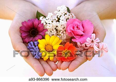 Flowers on hands View Large Photo Image Stock Photograph - Flowers on hands. Fotosearch