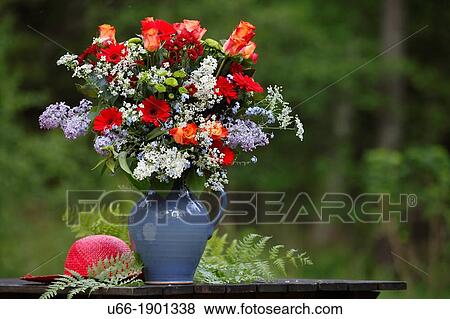 Flowers, outdoor, Sweden. View Large Photo Image Stock Photo - Flowers, outdoor, Sweden.. Fotosearch