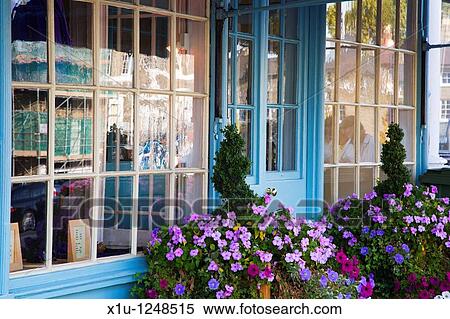 Flowers outside a shop Bury St Edmunds Suffolk England View Large Photo Image Stock Photography - Flowers outside a shop Bury St Edmunds Suffolk England. Fotosearch
