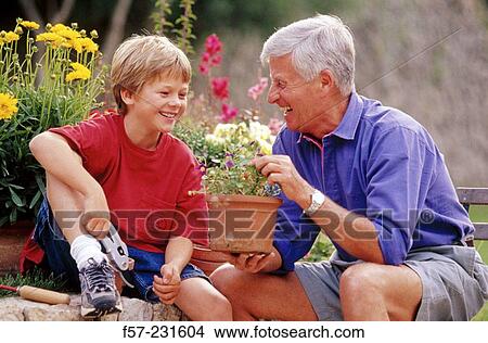 Picture - Flowers. Fotosearch