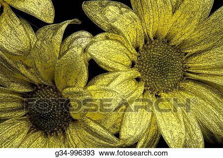Flowers View Large Photo Image Stock Image - Flowers. Fotosearch