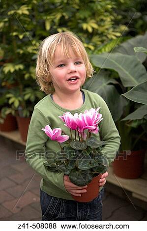 Flowers View Large Photo Image Stock Photo - Flowers. Fotosearch