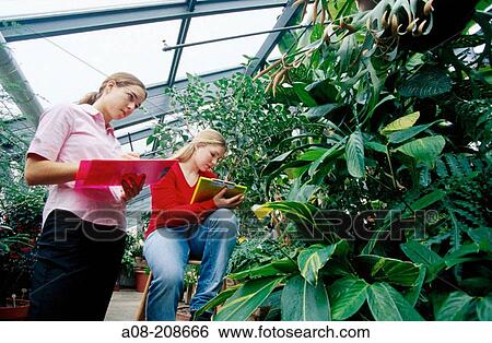 Stock Photograph - Flowers. Fotosearch