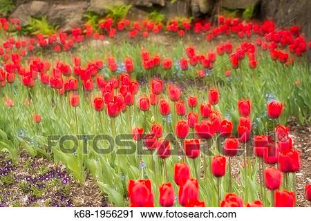 Stock Image - flowers, VanDusen Garden, Vancouver, BC.. Fotosearch