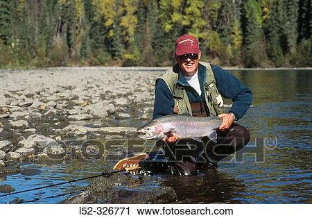 Fly fisherman holding a wild steelhead. Babine river. British Columbia. Canada View Large Photo Image Stock Image - Fly fisherman holding a wild steelhead. Babine river. British Columbia. Canada. Fotosearch