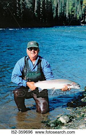 Stock Photograph - Fly fisherman holding wild steelhead, Babine river. British Columbia. Canada.. Fotosearch