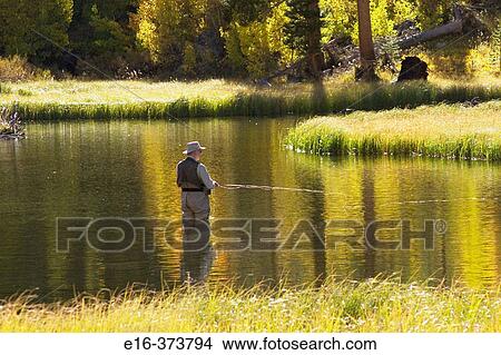 Picture - Fly fishing, California. Fotosearch