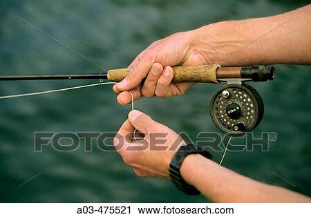 Fly fishing for trout, hand twist retrieve, KwaZulu-Natal, South Africa View Large Photo Image Stock Image - Fly fishing for trout, hand twist retrieve, KwaZulu-Natal, South Africa. Fotosearch