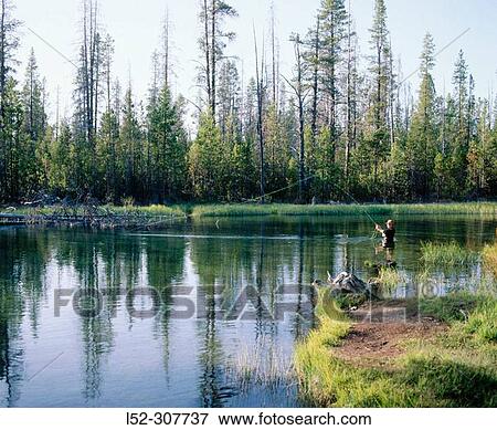 Stock Photo - Fly fishing in Fall River. Deschutes National Forest. Bend. Oregon. USA. Fotosearch