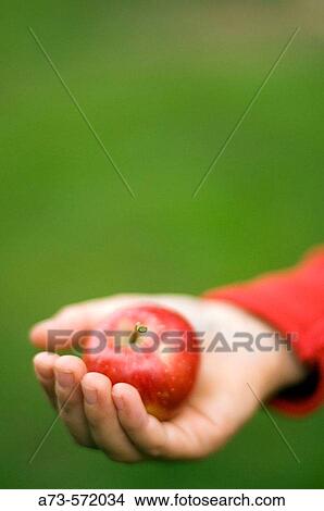 Picture - Flying. Fotosearch