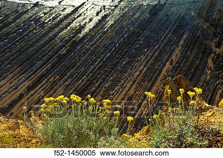 Flysch, Sakoneta beach, Deva, Gipuzkoa, The Basque Country, The Bay of Byscay, Spain, Europe. View Large Photo Image Stock Photography - Flysch, Sakoneta beach, Deva, Gipuzkoa, The Basque Country, The Bay of Byscay, Spain, Europe.. Fotosearch