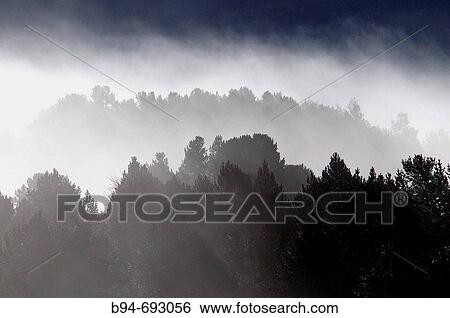 Fog at La Quillane ski resort. Languedoc-Roussillon, Pyr? n? es Orientales, Francia View Large Photo Image Stock Photograph - Fog at La Quillane ski resort. Languedoc-Roussillon, Pyr? n? es Orientales, Francia. Fotosearch