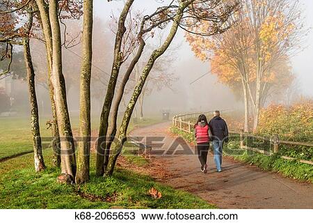 fog in Hadden Park in Vancouver, BC, Canada. View Large Photo Image Stock Image - fog in Hadden Park in Vancouver, BC, Canada.. Fotosearch