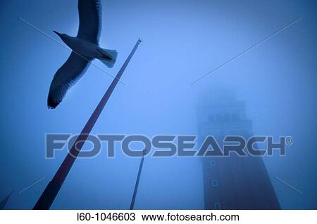 Fog in Piazza San Marco, Venice, Italy View Large Photo Image Stock Image - Fog in Piazza San Marco, Venice, Italy. Fotosearch