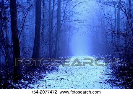 Stock Image - Fog in the forest in Germany. Fotosearch