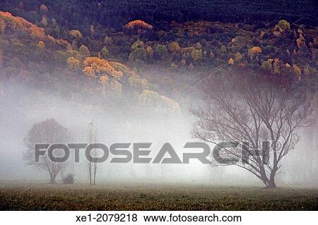 Fog, meadows, Barruera, Vall de Boi, Pyrenees, Catalonia, Spain View Large Photo Image Stock Photo - Fog, meadows, Barruera, Vall de Boi, Pyrenees, Catalonia, Spain. Fotosearch