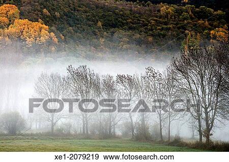 Fog, meadows, Barruera, Vall de Boi, Pyrenees, Catalonia, Spain View Large Photo Image Stock Photo - Fog, meadows, Barruera, Vall de Boi, Pyrenees, Catalonia, Spain. Fotosearch