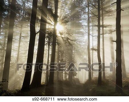 Stock Image - Fog. Montes de Albertia.? lava province. Spain. Fotosearch
