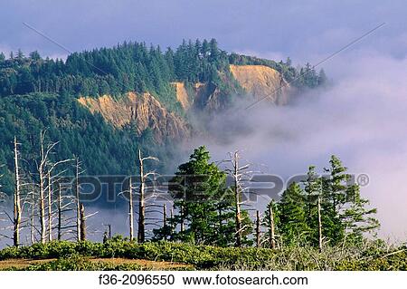 Fog rolls in over coastal hills of the Lost Coast, near Shelter Cove, Humboldt County, CALIFORNIA. View Large Photo Image Stock Image - Fog rolls in over coastal hills of the Lost Coast, near Shelter Cove, Humboldt County, CALIFORNIA.. Fotosearch