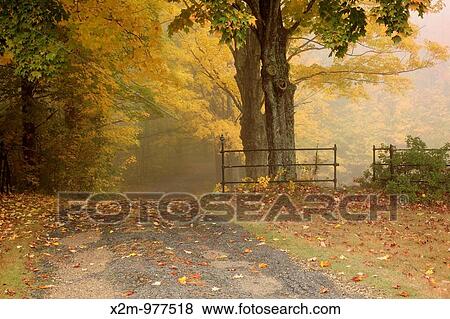 Foggy conditions at South Side Cemetery in Nottingham, New Hampshire during the autumn months View Large Photo Image Stock Photo - Foggy conditions at South Side Cemetery in Nottingham, New Hampshire during the autumn months. Fotosearch